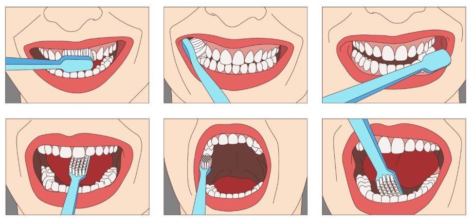 Proper Technique for Brushing Your Teeth