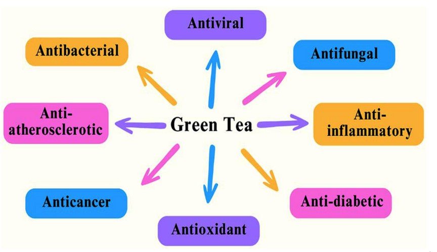 Green Tea and Your Oral Health